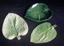Hosta leaves - various