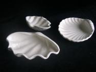 Shells - various